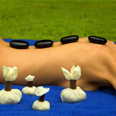 Palasiet Wellness Clinic&thalasso 4 Sup 4*